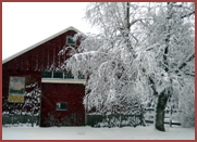 the barn in winter