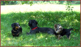 Emme, Mickey and Sofie