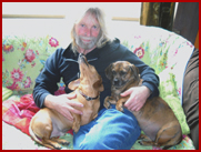 Ike, Joby and Sukey on couch