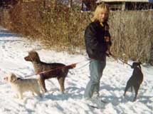 Ike with three dogs in the snow