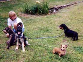 Ike, Noodle, Cyrano, Trixibelle, Ryley