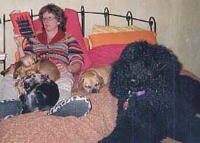 reading in bed with guest dogs