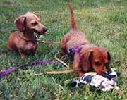 Trix and Otto