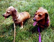 Trix and Otto